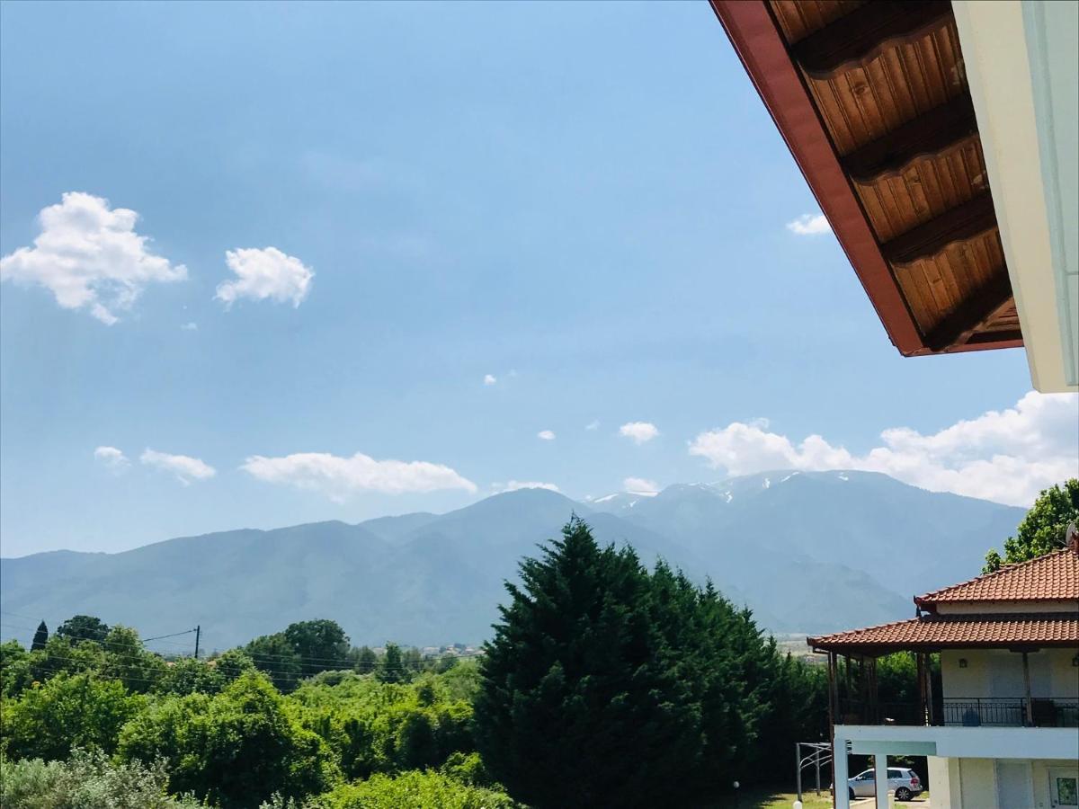 Dimeli Villa Litochoro Exterior photo